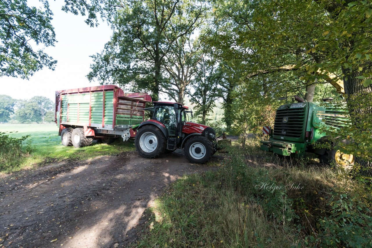 Bild 185 - Maisernte